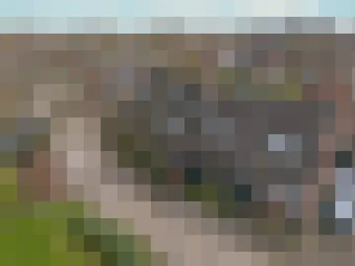 Langeland 20 Midwoud thumbnail 5