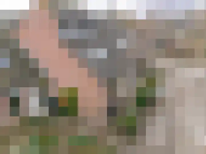 Langeland 20 Midwoud thumbnail 52