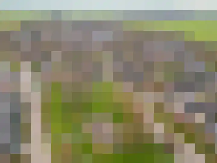 Langeland 20 Midwoud thumbnail 57