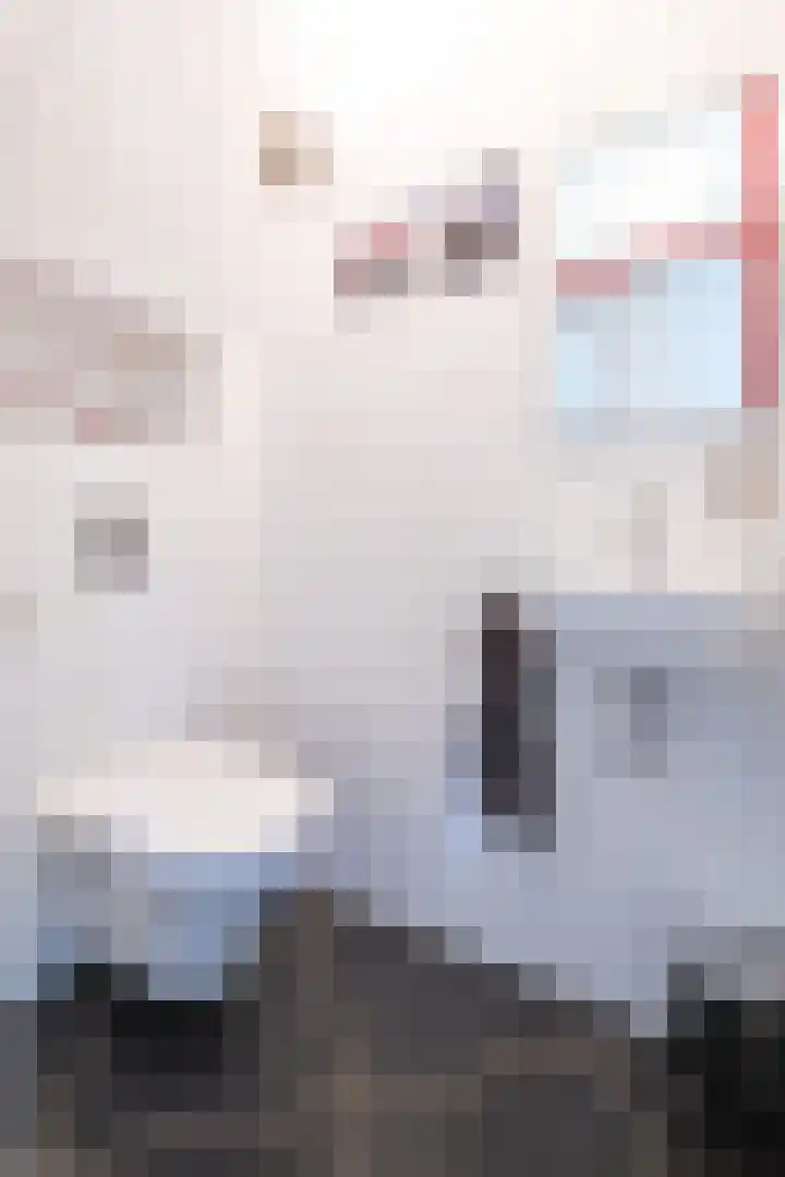 Langeland 20 Midwoud thumbnail 7