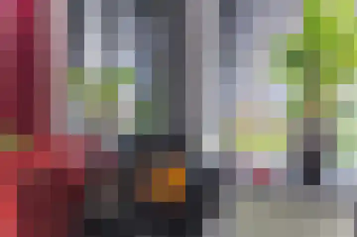 Langeland 20 Midwoud thumbnail 9