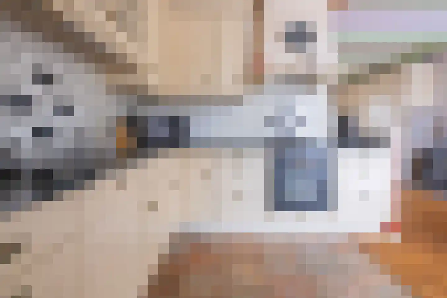 Langeland 24 Midwoud thumbnail 16