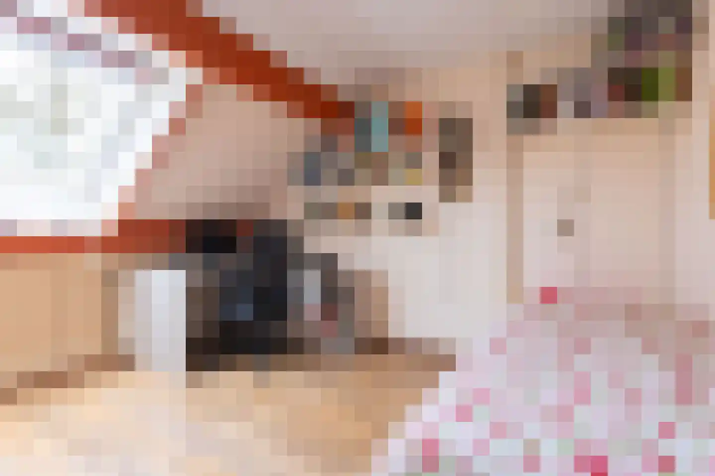 Langeland 24 Midwoud thumbnail 28