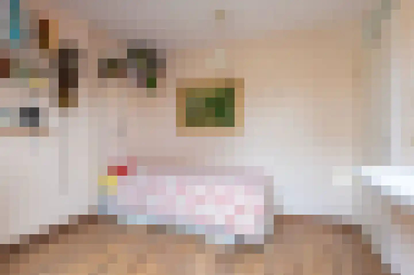 Langeland 24 Midwoud thumbnail 30