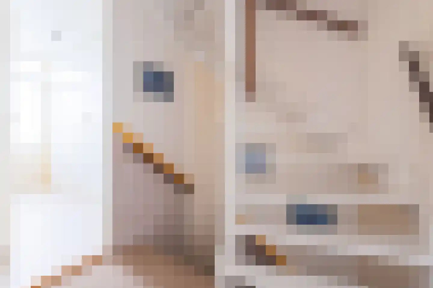 Langeland 24 Midwoud thumbnail 33