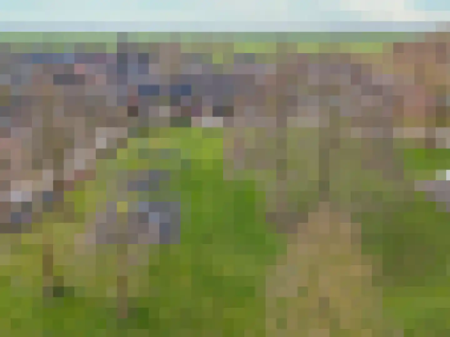 Langeland 24 Midwoud thumbnail 44
