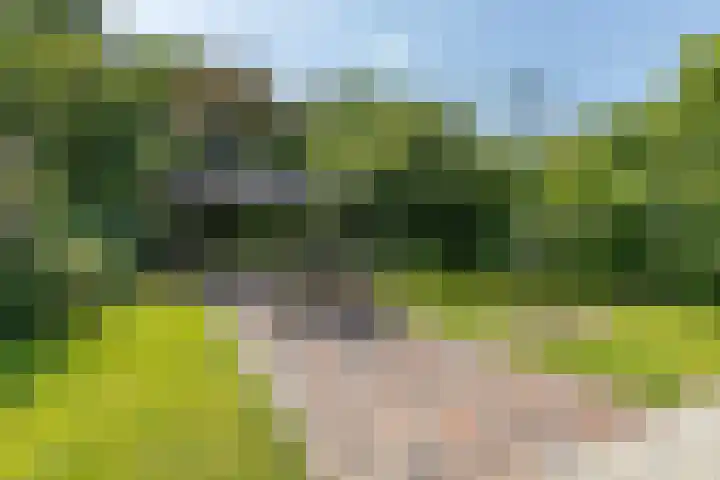 Langelandsterweg 79 Uithuizermeeden thumbnail 12