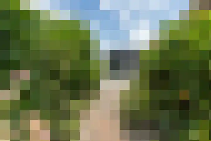 Langelandsterweg 79 Uithuizermeeden thumbnail 13