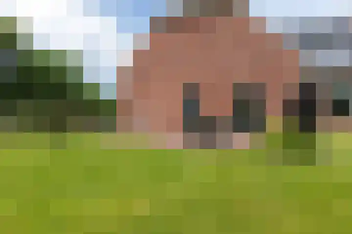 Langelandsterweg 79 Uithuizermeeden thumbnail 15