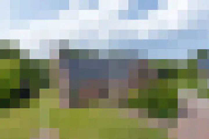 Langelandsterweg 79 Uithuizermeeden thumbnail 4