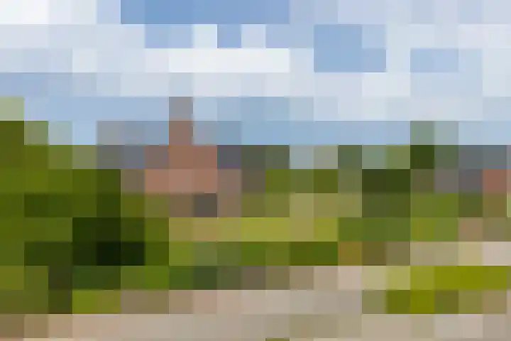Langelandsterweg 79 Uithuizermeeden thumbnail 5
