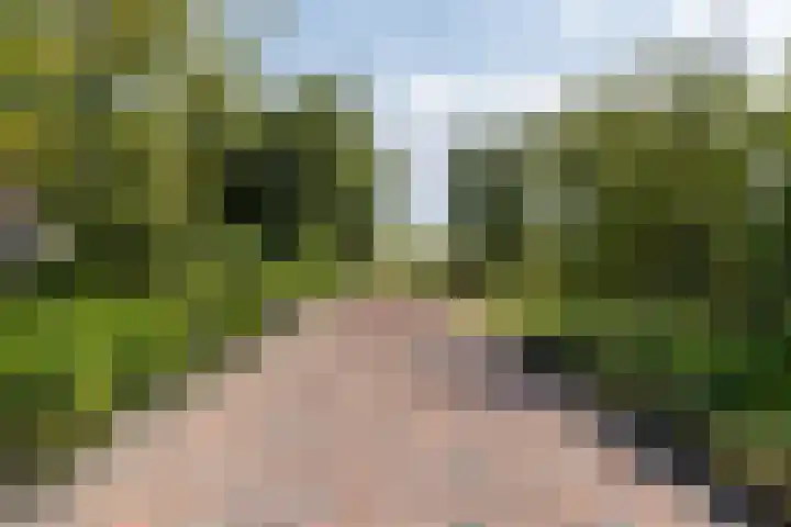 Langelandsterweg 79 Uithuizermeeden thumbnail 8