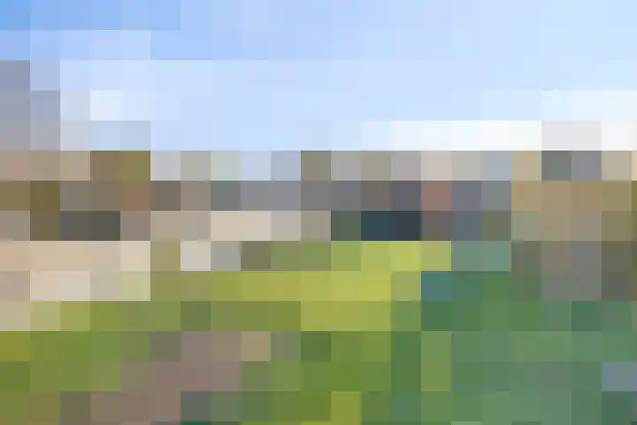 Langeleegte 100 Veendam thumbnail 20