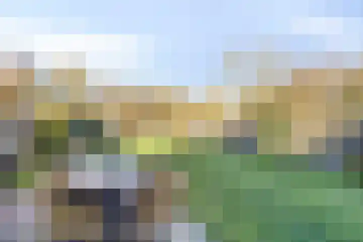Langeleegte 100 Veendam thumbnail 21
