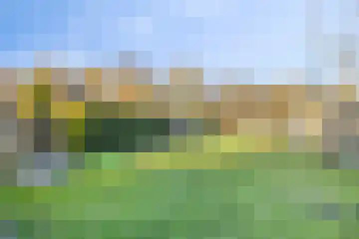 Langeleegte 100 Veendam thumbnail 22