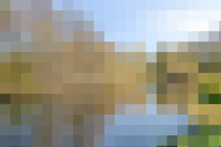 Langeleegte 100 Veendam thumbnail 24