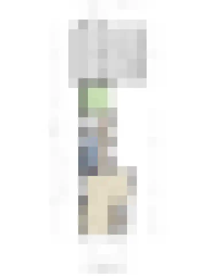 Langeleegte 100 Veendam thumbnail 26