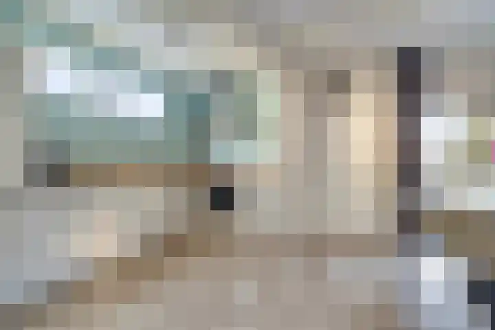 Langeleegte 100 Veendam thumbnail 32