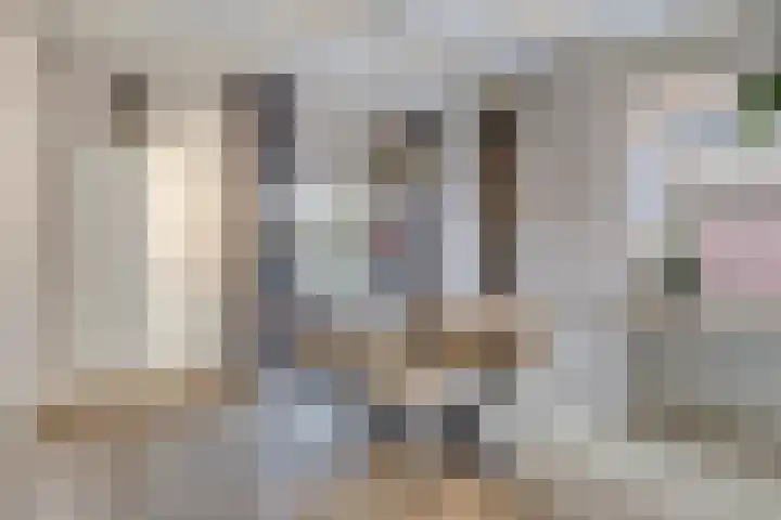 Langeleegte 100 Veendam thumbnail 38