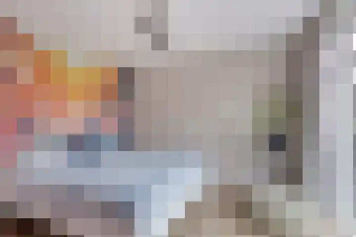 Langeleegte 100 Veendam thumbnail 41