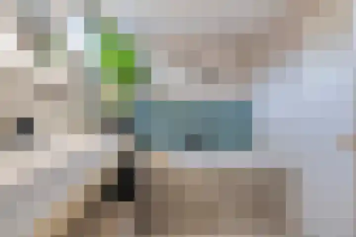 Langeleegte 100 Veendam thumbnail 43