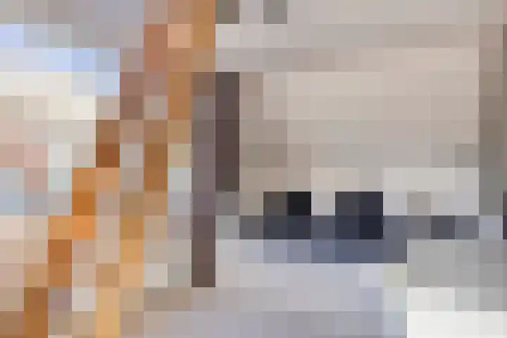 Langeleegte 100 Veendam thumbnail 50