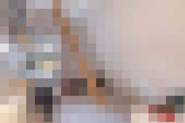 Langeleegte 100 Veendam thumbnail 54