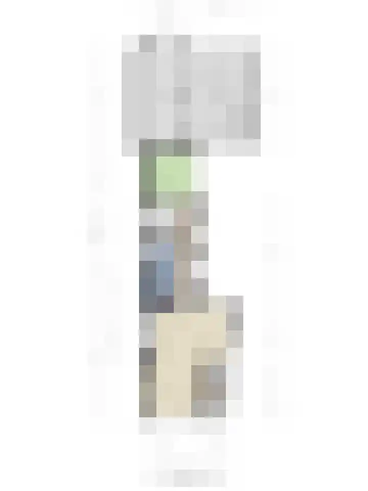 Langeleegte 100 Veendam thumbnail 57