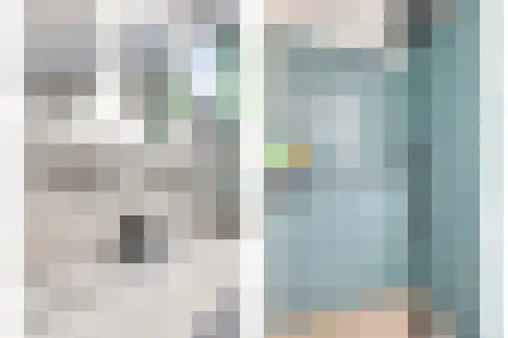 Langeleegte 100 Veendam thumbnail 7