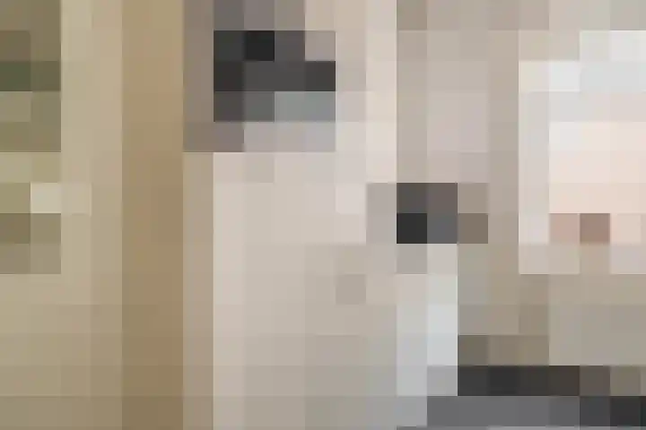 Langeleegte 112 Veendam thumbnail 16