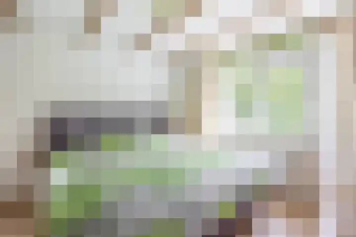 Langeleegte 112 Veendam thumbnail 24
