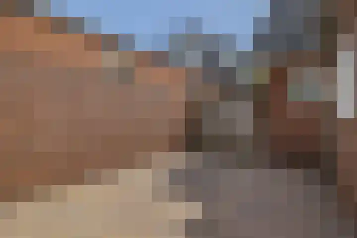 Langeleegte 112 Veendam thumbnail 27