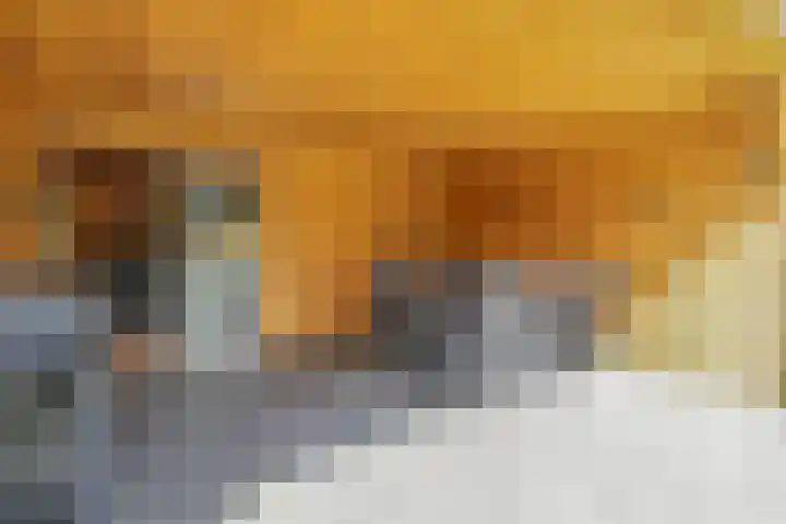 Langeleegte 112 Veendam thumbnail 32