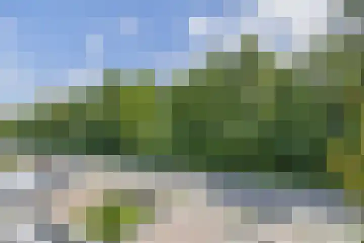 Langeleegte 112 Veendam thumbnail 35