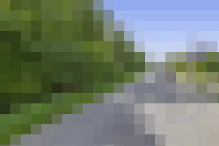 Langeleegte 112 Veendam thumbnail 36