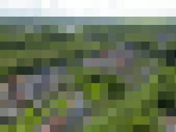 Langeleegte 112 Veendam thumbnail 37