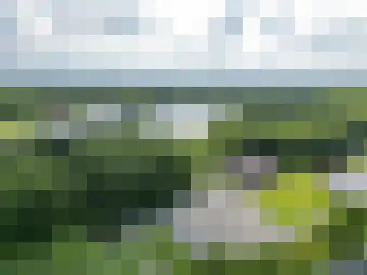 Langeleegte 112 Veendam thumbnail 38