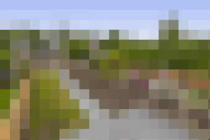 Langeleegte 112 Veendam thumbnail 4