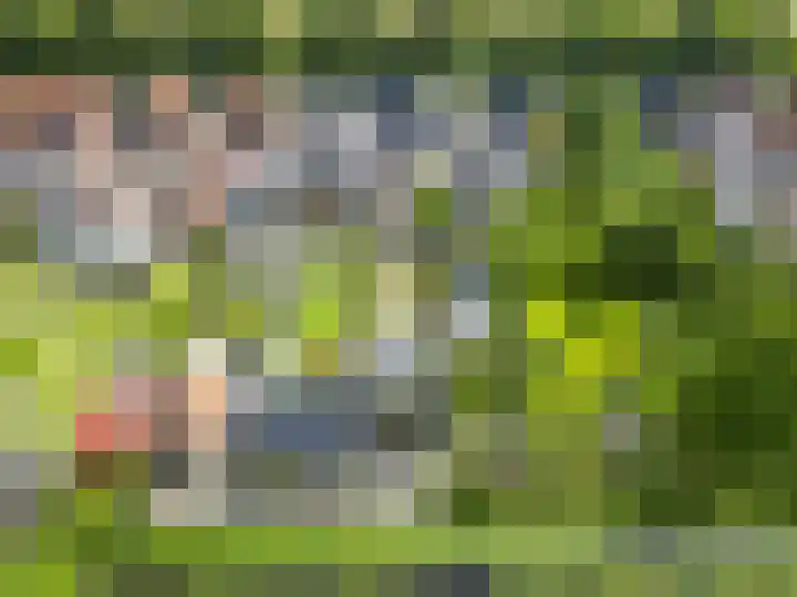 Langeleegte 112 Veendam thumbnail 40