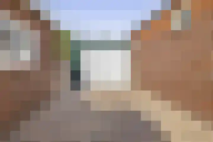 Langeleegte 112 Veendam thumbnail 8