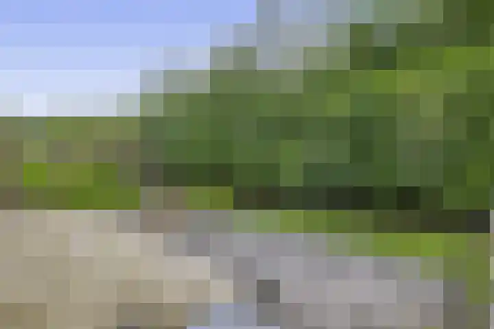 Langeleegte 112 Veendam thumbnail 9