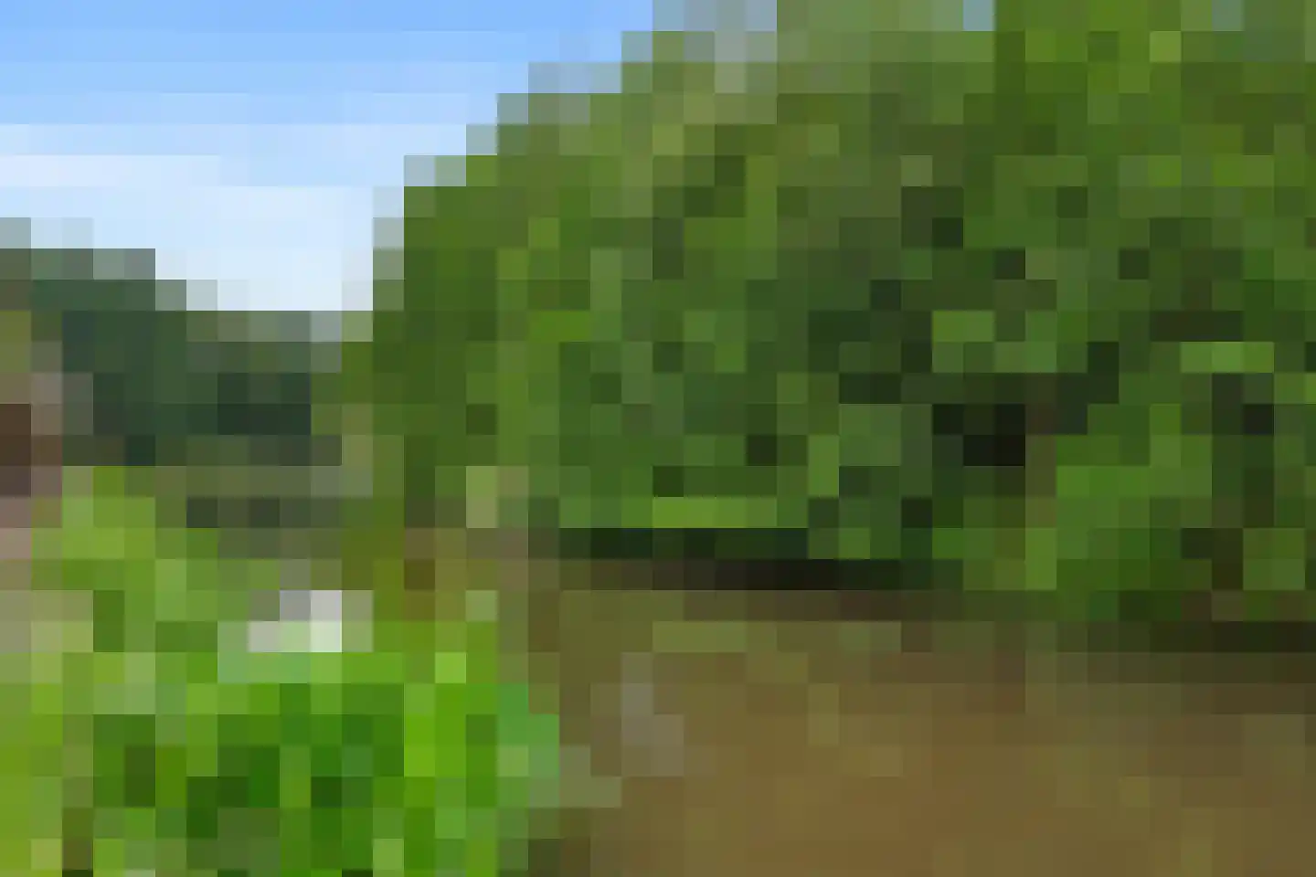 Langeleegte 118 Veendam thumbnail 24