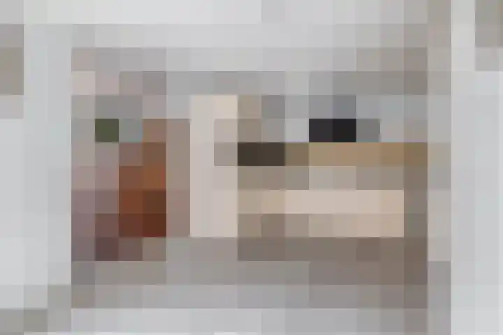 Langeleegte 12 Veendam thumbnail 13
