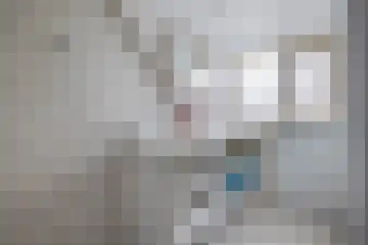 Langeleegte 12 Veendam thumbnail 31