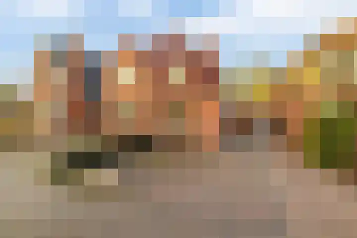 Langeleegte 12 Veendam thumbnail 6