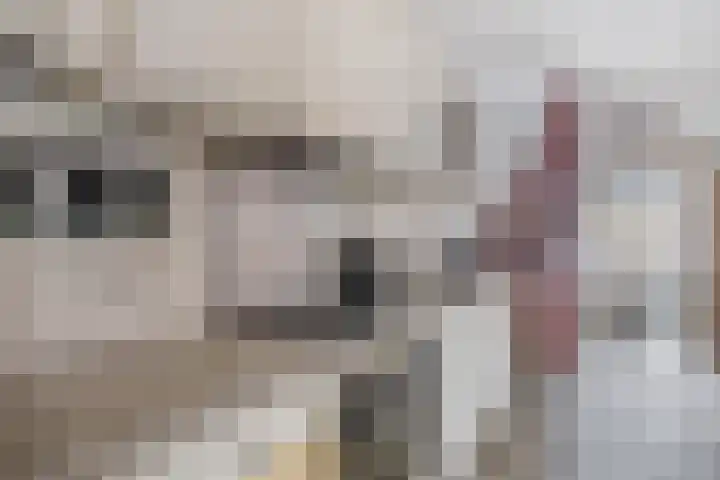 Langeleegte 121 Veendam thumbnail 12