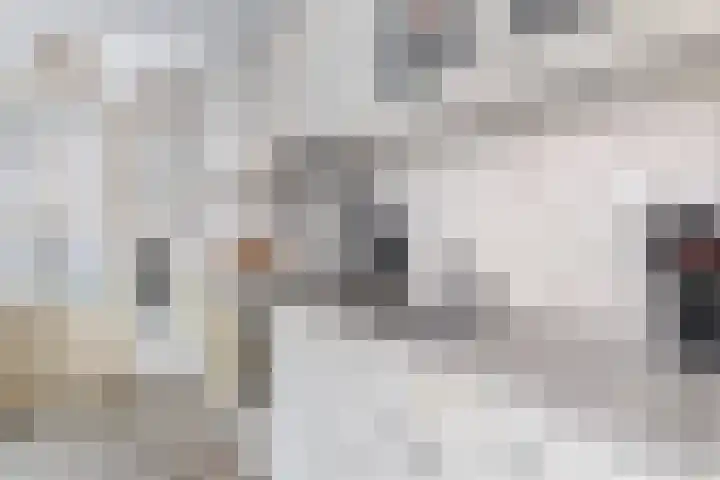 Langeleegte 121 Veendam thumbnail 14