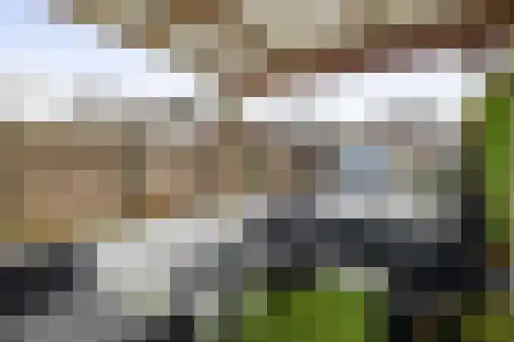 Langeleegte 121 Veendam thumbnail 25