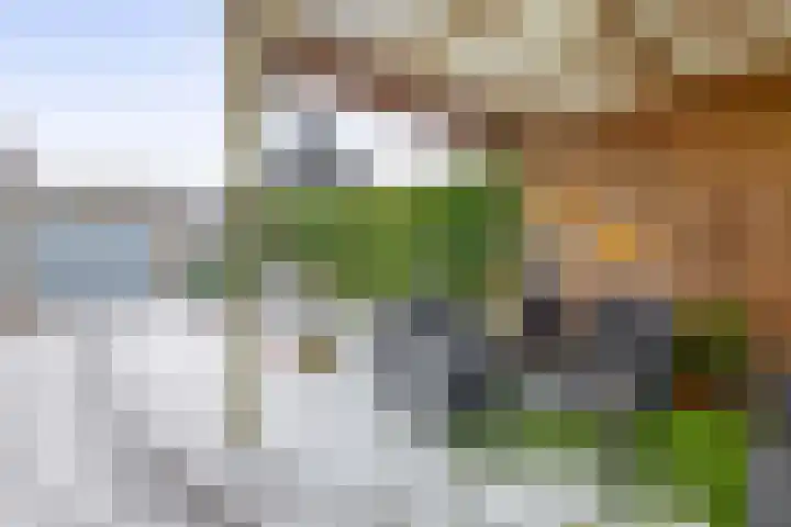 Langeleegte 121 Veendam thumbnail 32