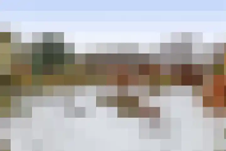 Langeleegte 121 Veendam thumbnail 34
